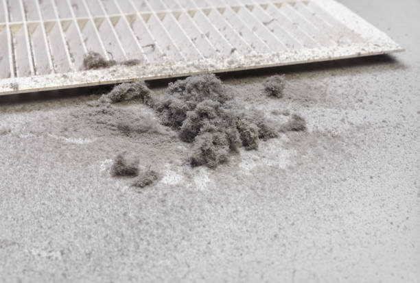 Best Local Air Duct Cleaning Services  in Cedar Heights, MD