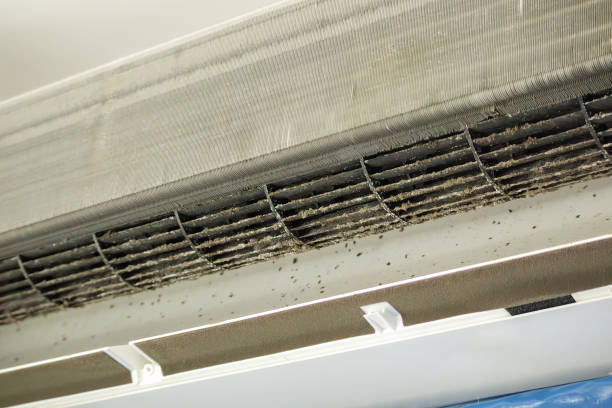 Best HVAC System Cleaning  in Cedar Heights, MD